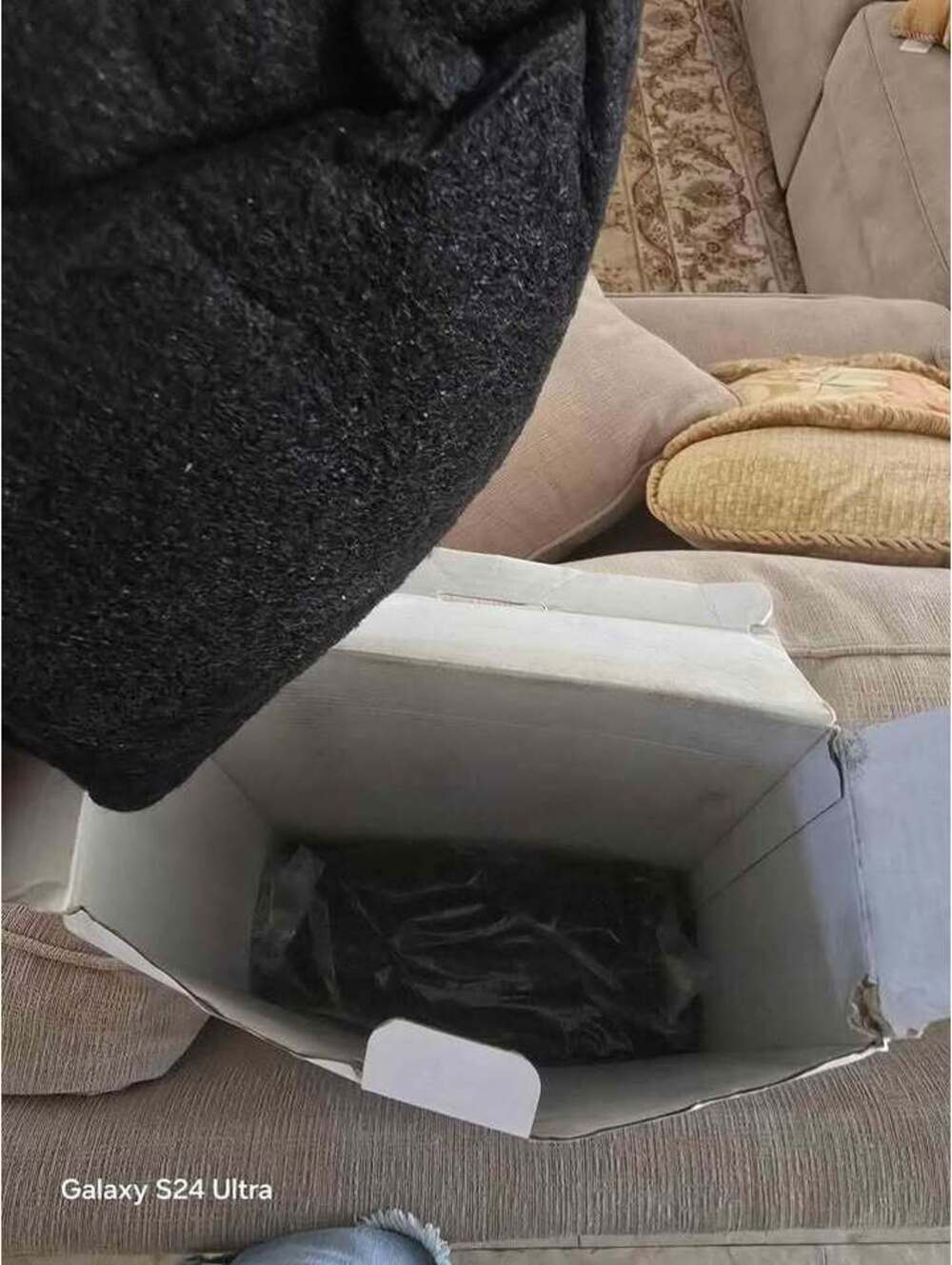 Air purifier filter